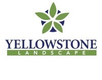 1yellowstone
